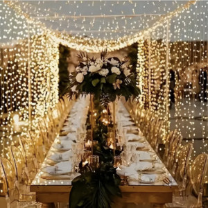 Guirlande lumineuse LED rideau 6x3m